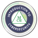 MICS Introduction to Cyber Security